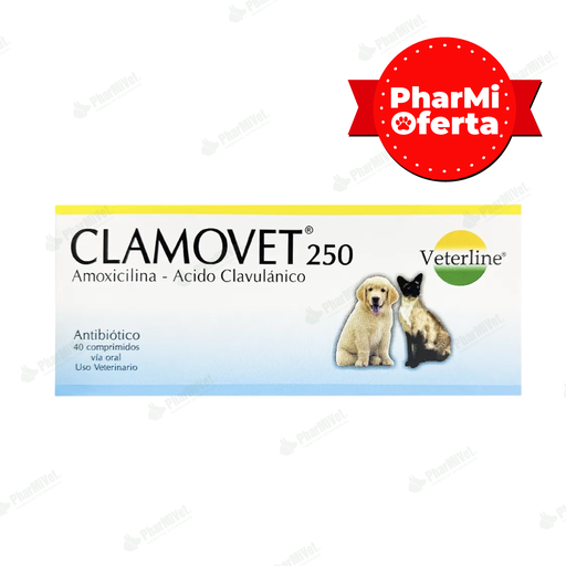 [8400103007] CLAMOVET 250 MG X 40 TAB