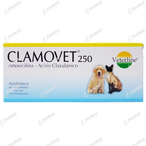 [8F020303016] CLAMOVET 250 MG X UND