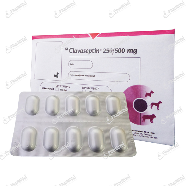 [82020303124] CLAVASEPTIN 500 MG X UND