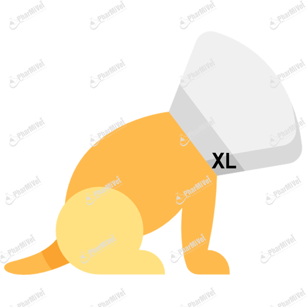 [81010206004] COLLAR ISABELINO COPLAST XL X 25 CM