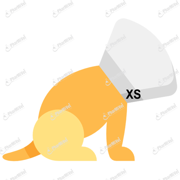 [81010206005] COLLAR ISABELINO COPLAST XS X 10 CM