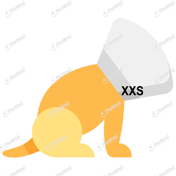 [8P010206007] COLLAR ISABELINO COPLAST XXS X 7.5 CM