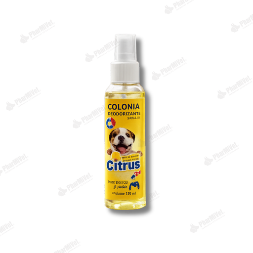 [81050403005] COLONIA DOKYTO CITRUS X 120 ML