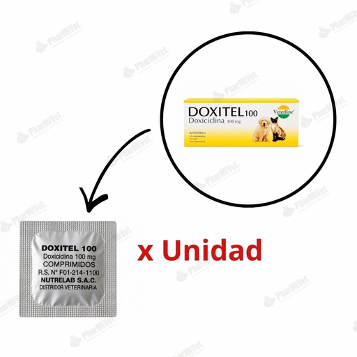 [82020303026] DOXITEL 100 MG X UND