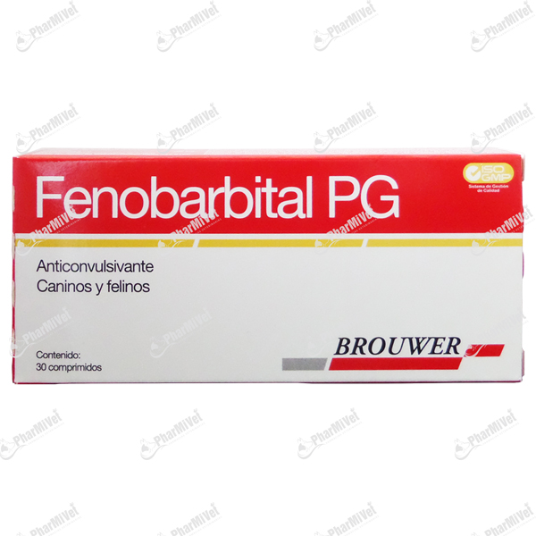 [81020103001] FENOBARBITAL P-G X 30 TAB
