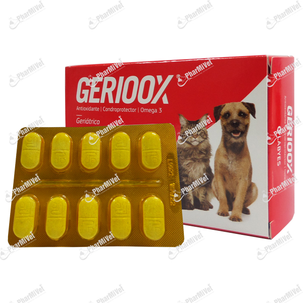 [8F010406016] GERIOOX X UND