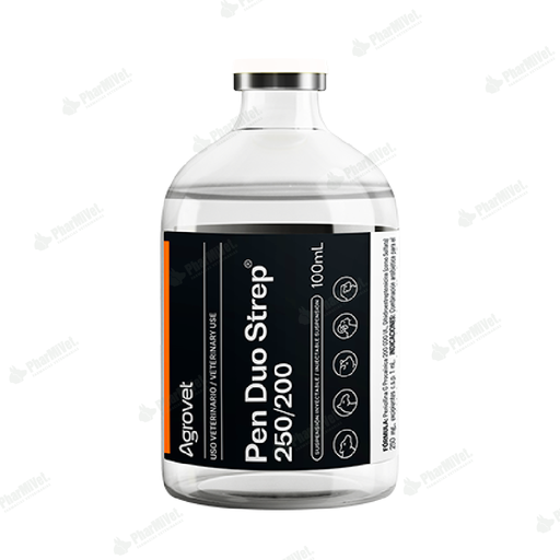 [81020303049] PEN DUO STREP 250/200 X 100 ML