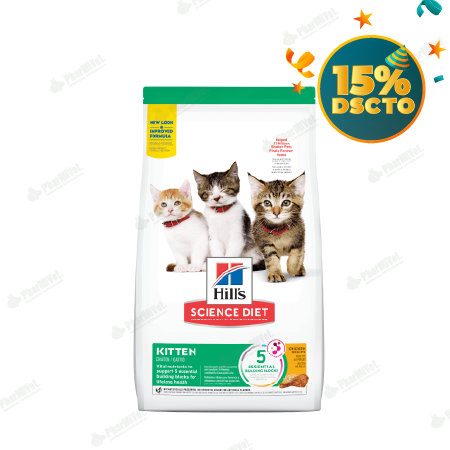 [8240301008] HILL'S SD KITTEN H. DEVELOPMENT X 1.58 KG