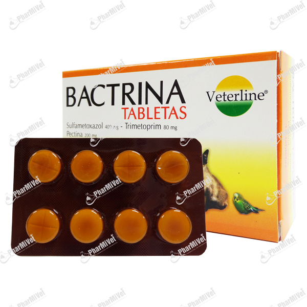[8F020303003] BACTRINA X UND
