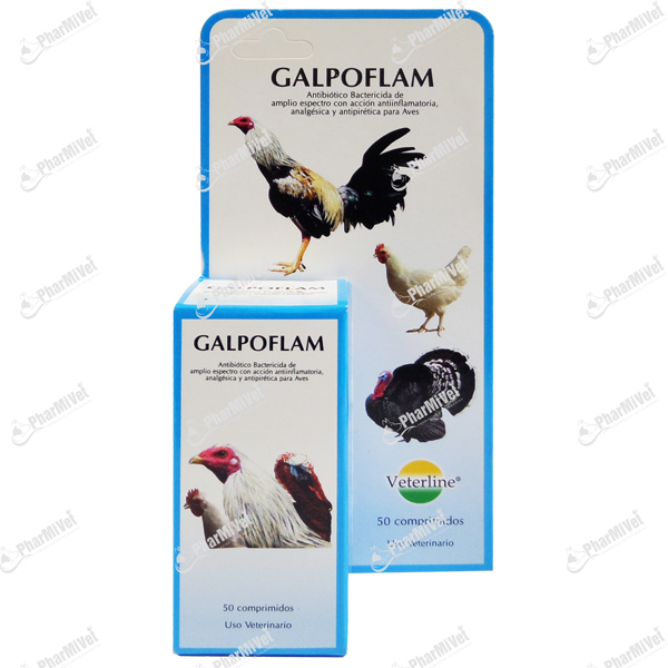 [81020306037] GALPOFLAM X 50 COM