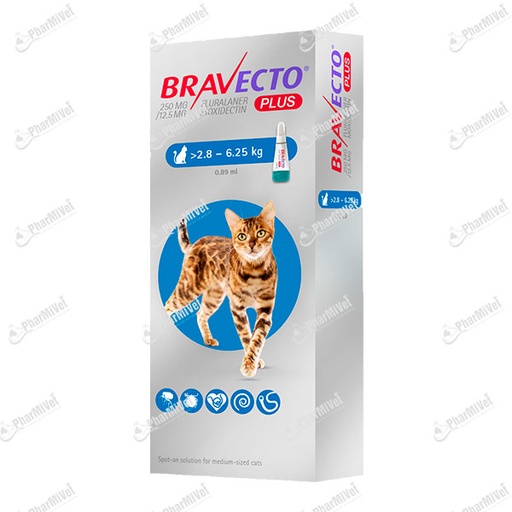 [81010101210] BRAVECTO PLUS CAT 250 MG (2.8 - 6.25 KG)