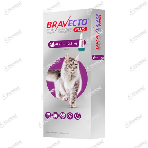 [81010101211] BRAVECTO PLUS CAT 500 MG (6.25 - 12.5 KG)