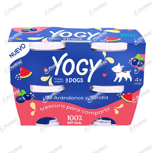 [81040403003] HELADO DE YOGURT YOGY ARANDANOS Y SANDIA X 4 UND (PACK)