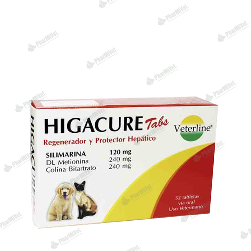 [82010408019] HIGACURE SILIMARINA X UND