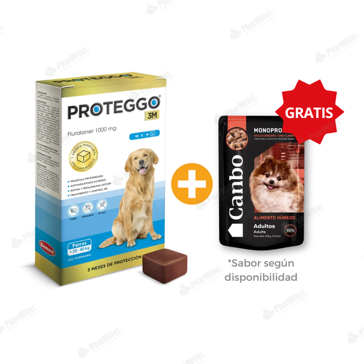 [81010101107] PROTEGGO 3M 1000 MG DE 20 - 40 KG