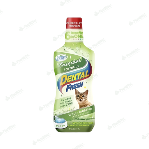 [8670402003] DENTAL FRESH ORIGINAL CAT (8oz) x 237 ML