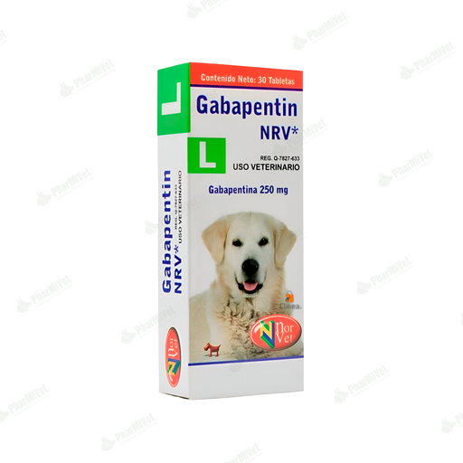 [8P020510001] GABAPENTIN-L 250 mg x 30 TAB