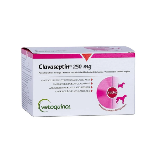 [82020303122] CLAVASEPTIN 250 MG X TAB